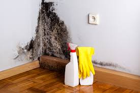 Best Mold Removal for HVAC Installations  in Matteson, IL